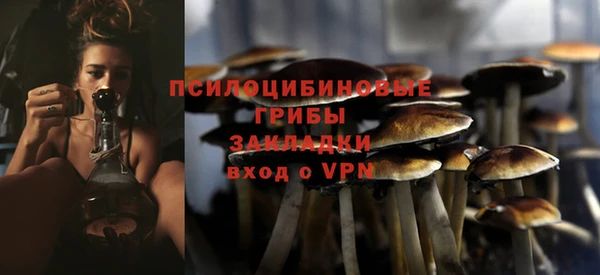 гидропоника Арсеньев